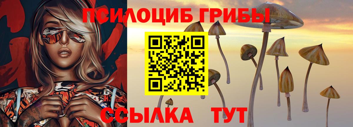 Кропоткин  Псилоцибиновые грибы Magic Shrooms  Вход с VPN 